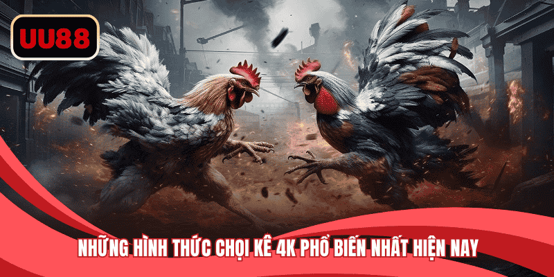 Những hình thức chọi kê 4K phổ biến nhất hiện nay